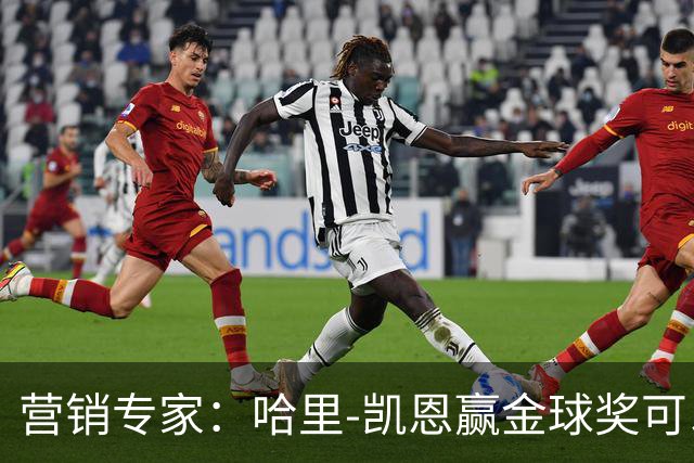 营销专家:哈里-凯恩赢金球奖可以挽救英国足球的声誉